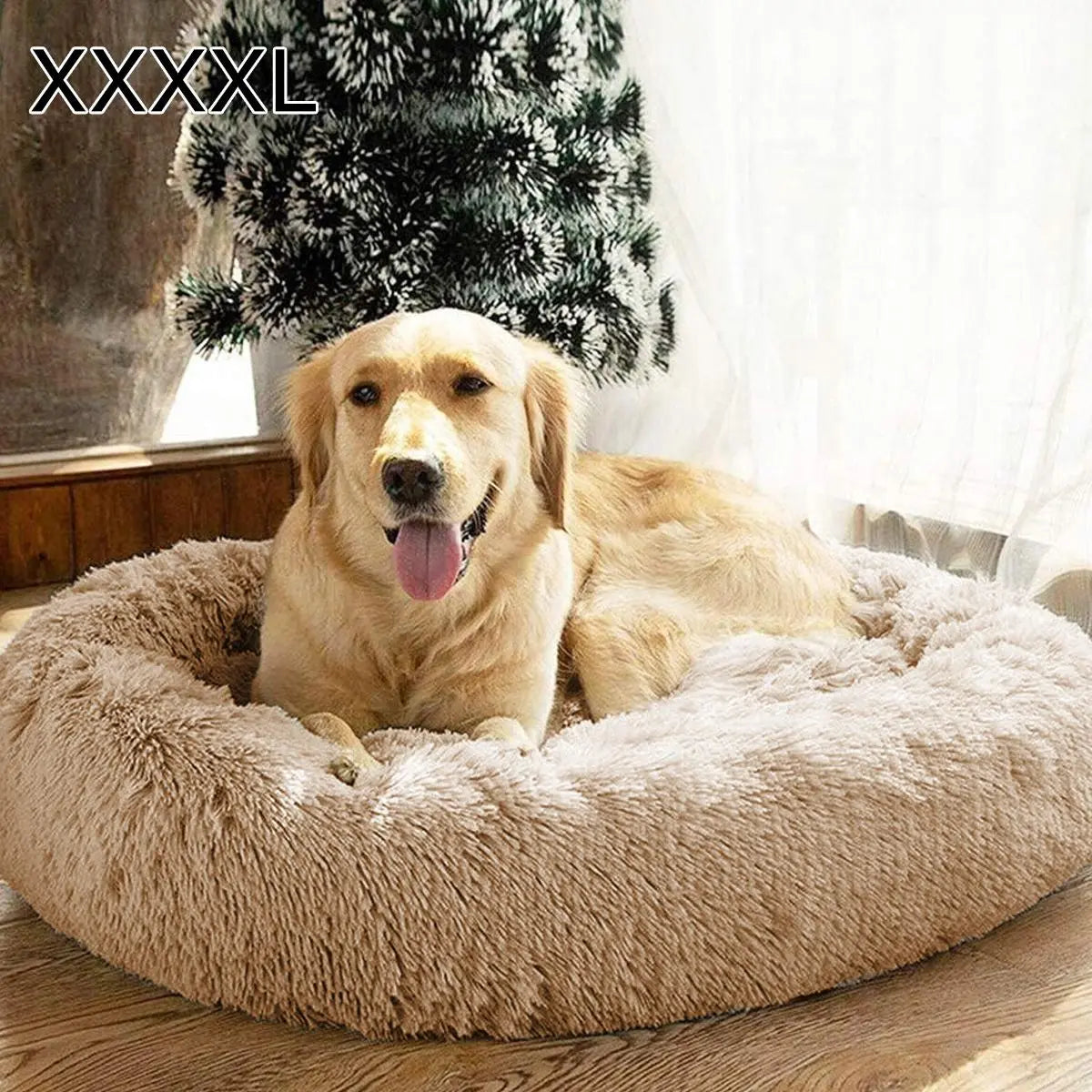 Calming Dog Bed
