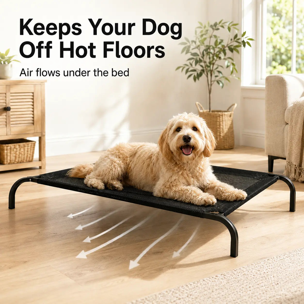 Elevated Dog Bed