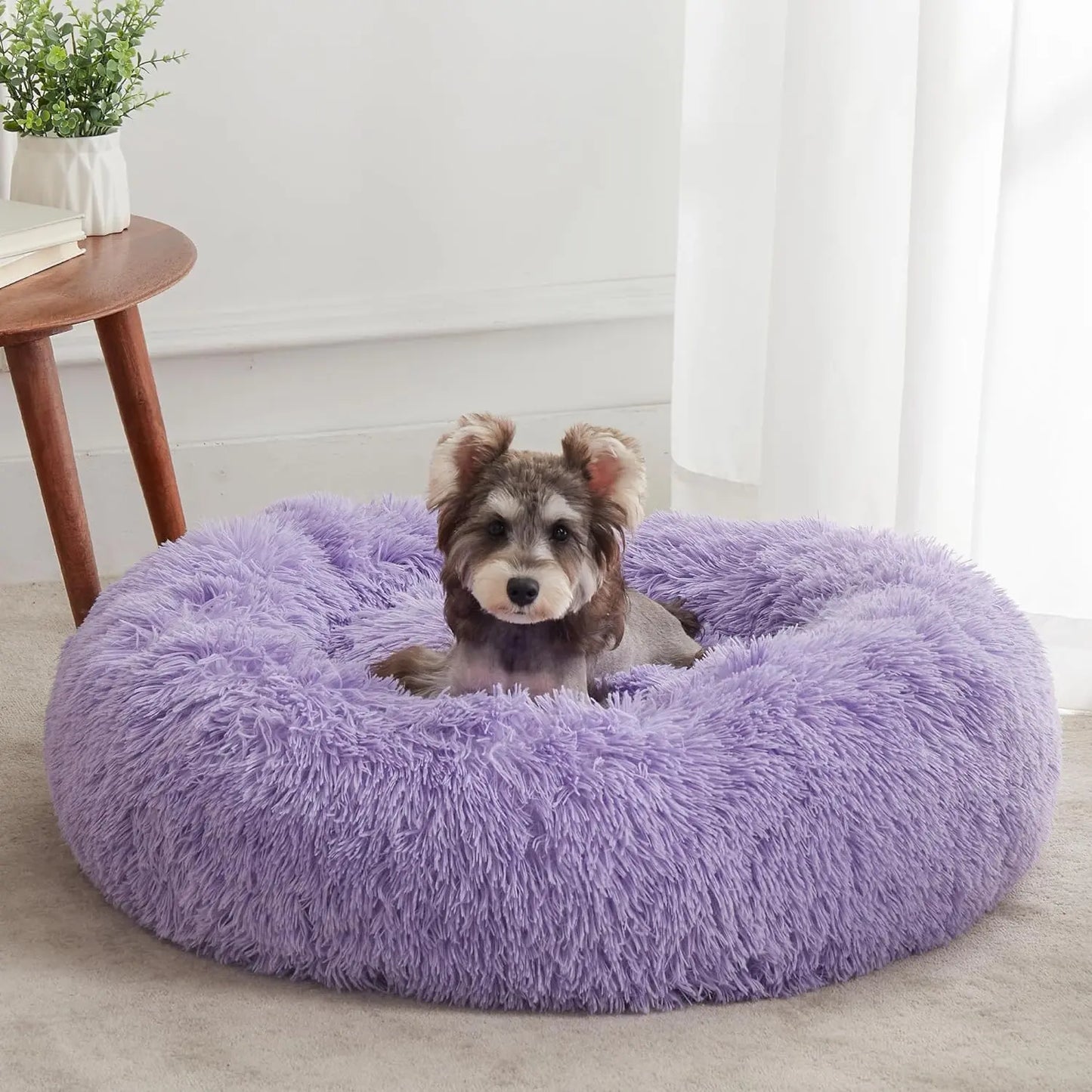 Calming Dog Bed