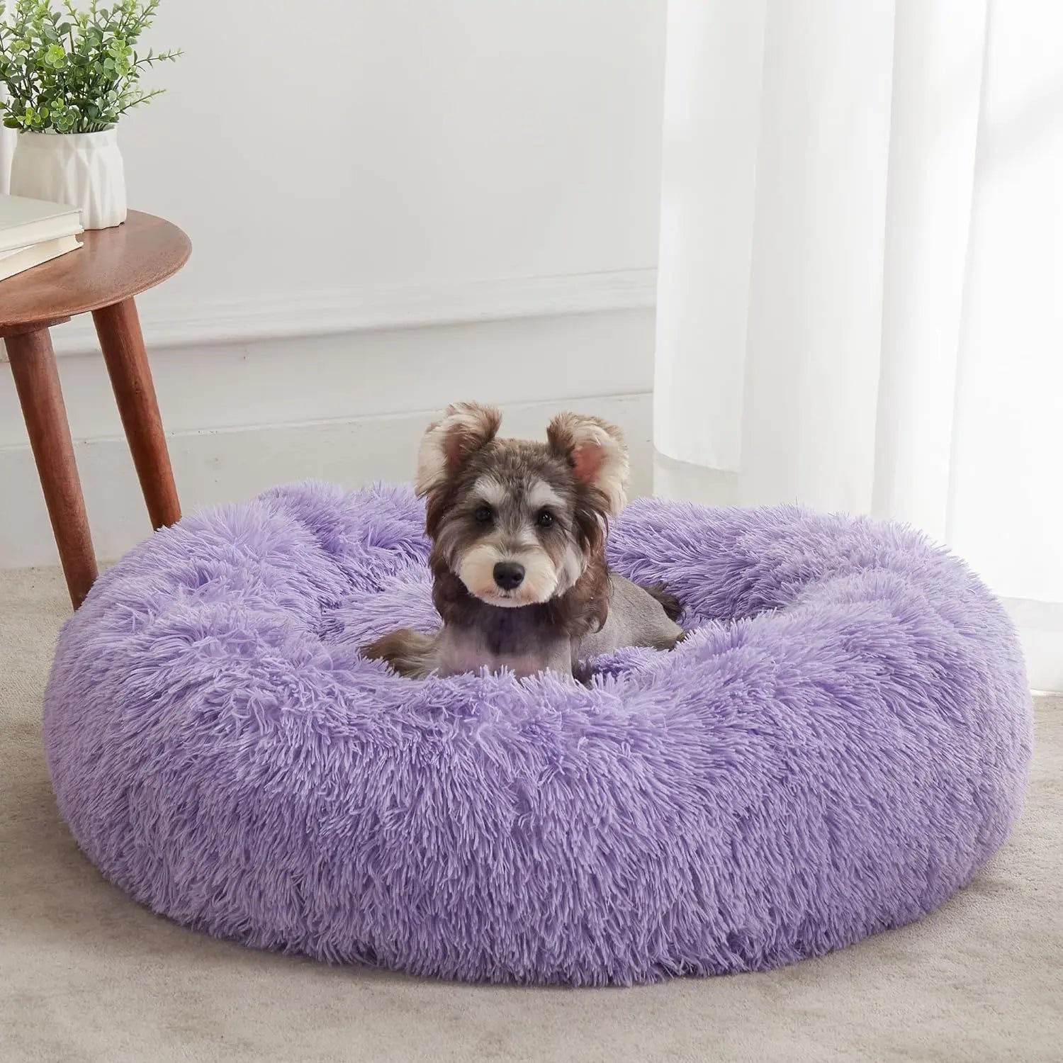 Calming Dog Bed