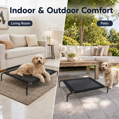 Elevated Dog Bed