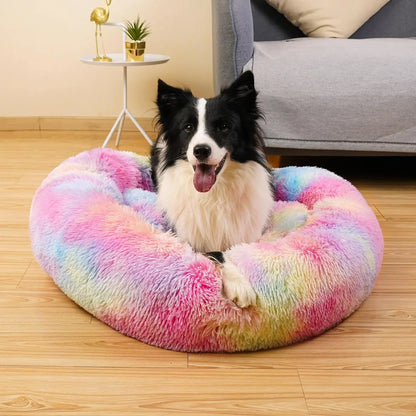 Calming Dog Bed