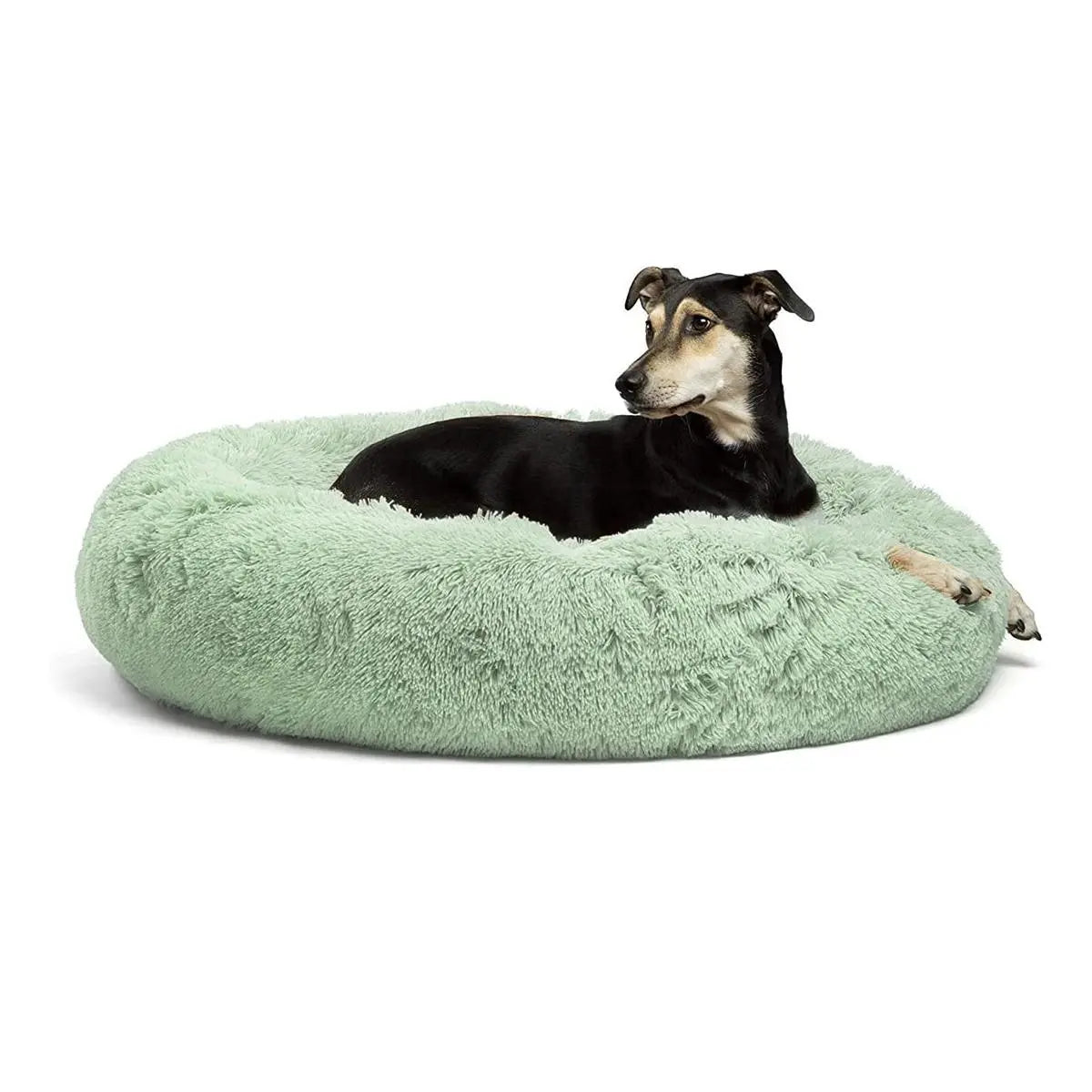 Calming Dog Bed