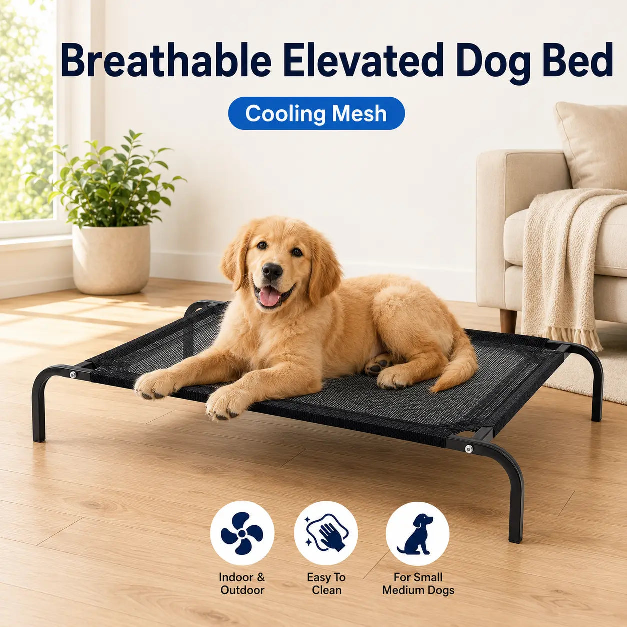 Elevated Dog Bed