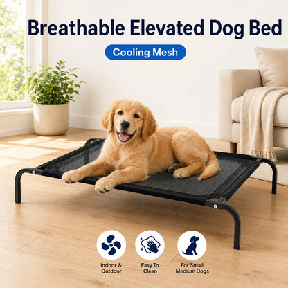 Elevated Dog Bed